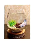 Aquarium